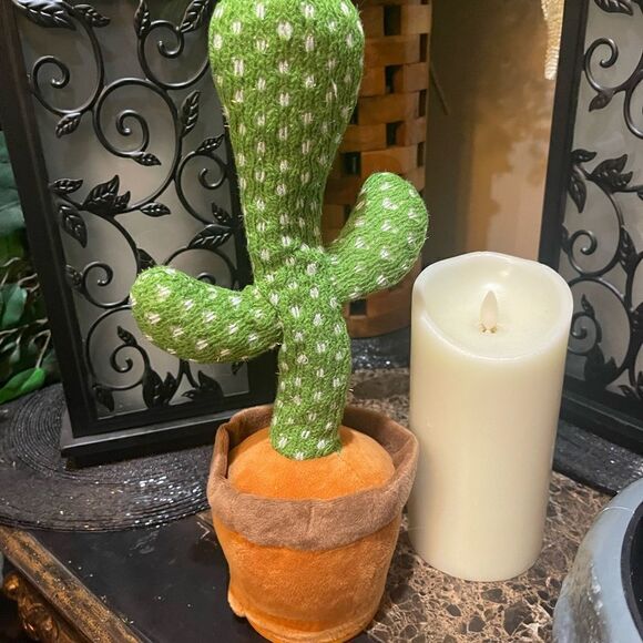 The Happy Dancing Cactus!! - Picture 3 of 6